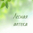 Познавательная программа для детей «Лесная аптека» - Музейно-выставочный центр