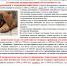 60-icx-1594-23-1.png - Администрация г. Когалым