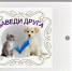 1.png - Администрация г. Когалым