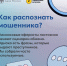 ПРОФИЛАКТИКА МОШЕННИЧЕСТВА НОЯБРЬ 2024 - Музейно-выставочный центр